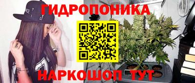 сатива Шебекино