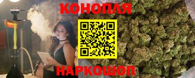 сатива Шебекино