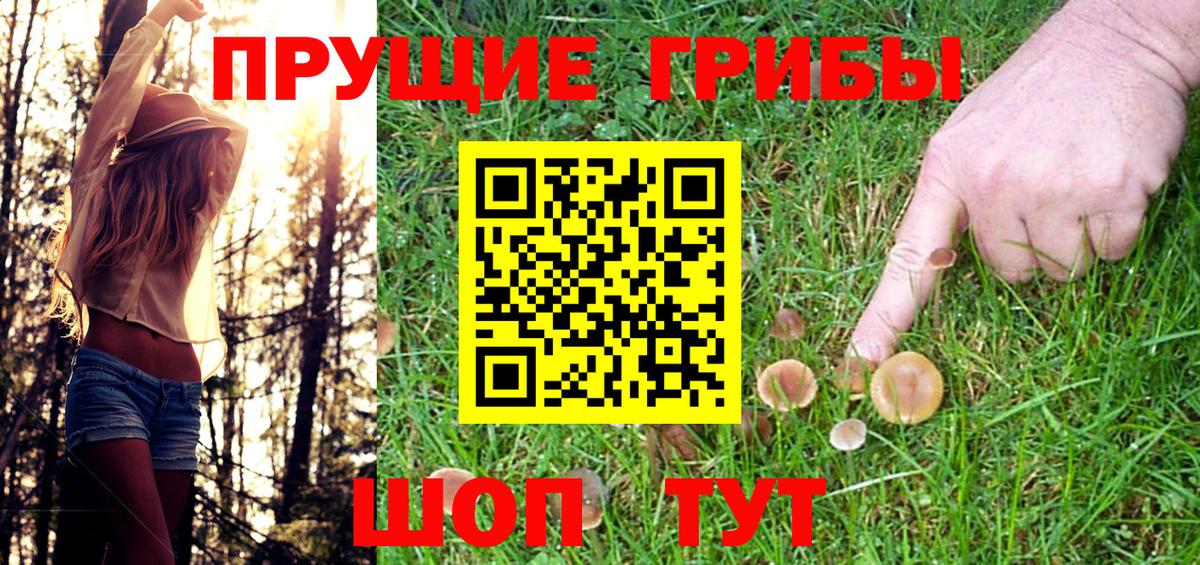 Галлюциногенные грибы GOLDEN TEACHER  Вход с VPN  Галлюциногенные грибы MAGIC MUSHROOMS  Хасавюрт 