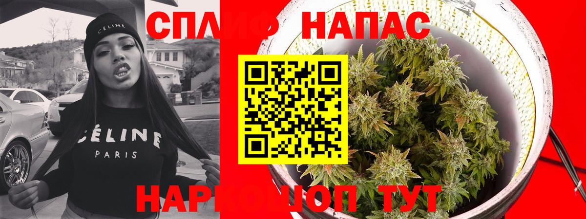 Бошки Шишки конопля Хасавюрт